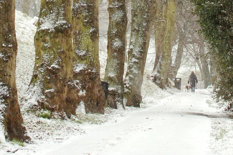 A snowy view in Backhouse Park after a 2009 blizzard.