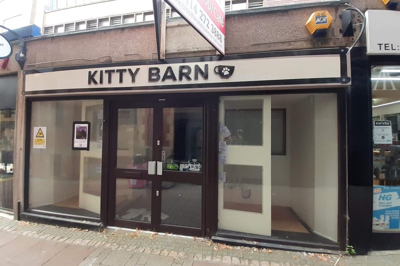 The cats were the star at Kitty Barn on Chapel Walk.