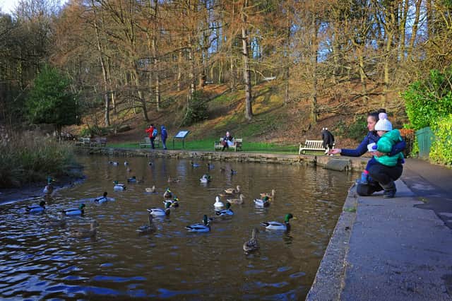 You can enjoy a playground, ducks and a cafe at this park, situated on the Porter Brook. It’s 49 acres of sheer beauty and a great place to take the kids for some fresh air. You can also splash around in the water, especially on a hot day. Located at 9 Whiteley Ln, Sheffield S10 4GL.