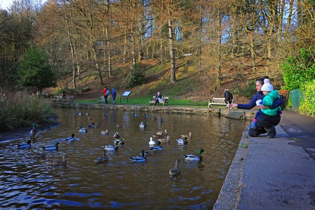 You can enjoy a playground, ducks and a cafe at this park, situated on the Porter Brook. It’s 49 acres of sheer beauty and a great place to take the kids for some fresh air and enjoy some autumn sunshine. Located at 9 Whiteley Ln, Sheffield S10 4GL.