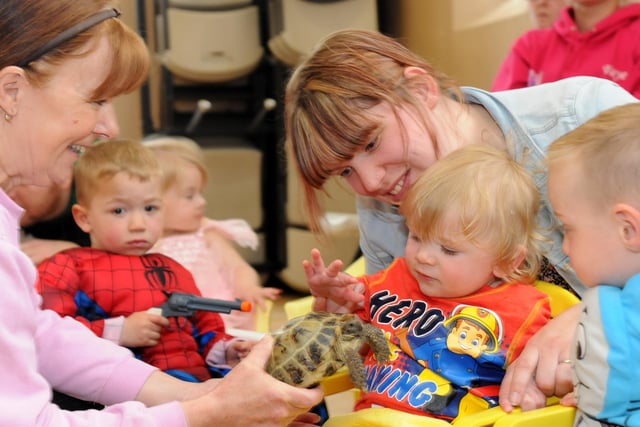 We would love your memories of the day the zoo came to the playgroup. You can share them by emailing chris.cordner@jpimedia.co.uk