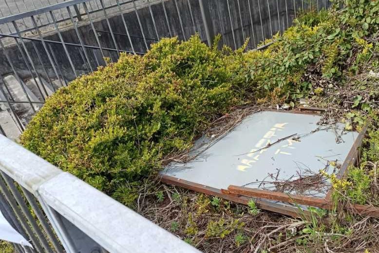 Road sign abandoned in the vegetation by the top of the underpass steps