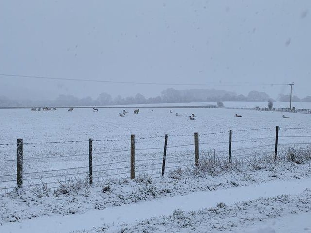 Snowy scene in East Meon. Picture: Lara Clarke