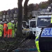 Police supported a pre-dawn tree-felling operation on Rustlings Road in 2018