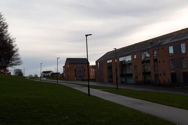 There were 70 reports of rats to the council in this ward between January 2019 and July 2020.