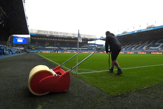 Ground staff at Sheffield Wednesday have been working hard on the Hillsborough pitch in recent weeks.