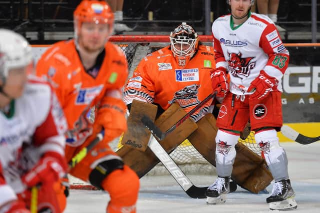 Barry Brust suffered from injury and illness last season for Sheffield Steelers. Picture: Dean Woolley