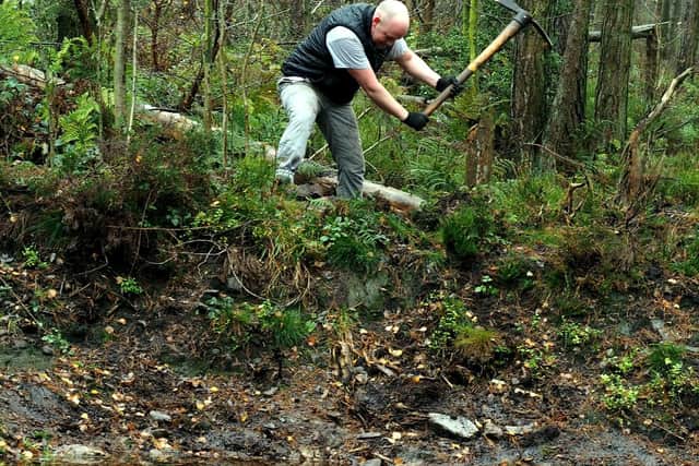 Ride Sheffield trail day: digging out rocks to use in track culverts by David Bocking