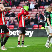 Sheffield United players react during their defeat to Brighton