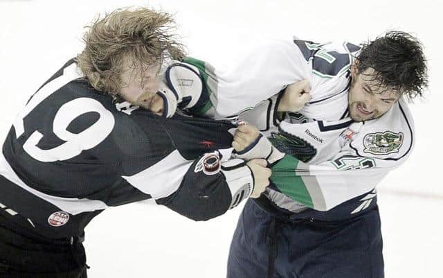 Everblades' Sebastien Piche (23) tussles with Wranglers' Robbie Smith (19). Picture: curtesy of Sheffield Steelers