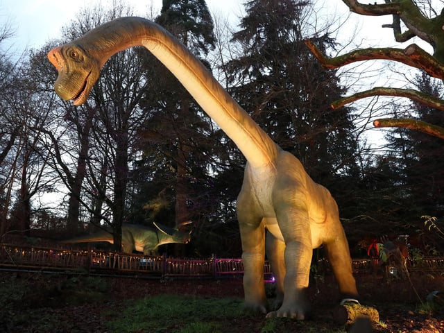 One of the illuminated dinosaurs at Blair Drummond Safari Park near Stirling, Scotland.