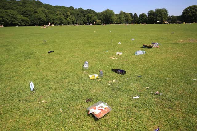 Litter in Endcliffe Park, Sheffield