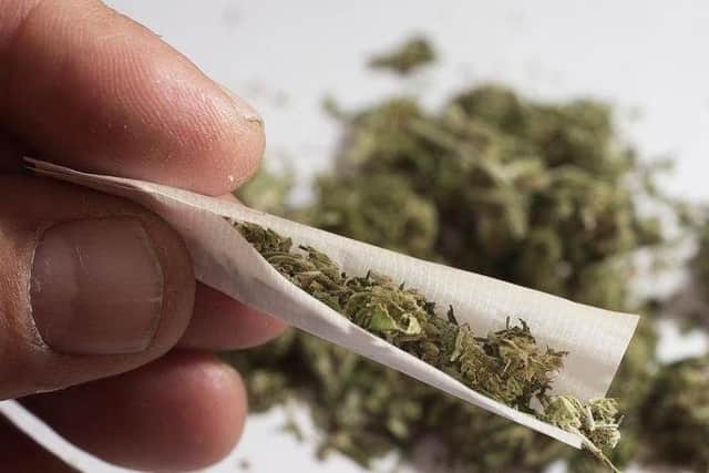 Sheffield Crown Court has heard how an offender who was caught with cannabis plants at his home had been planning to sell the drugs on.
