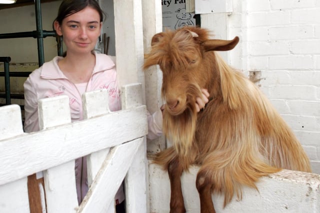 Even animals have got in on the act - pictured at Heeley City Farm Sheffield in 2006 was Kelling Manon, with goat Elvis.