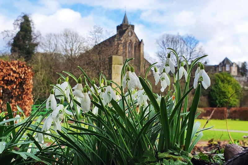 Opening in late April, Dunblane Cathedral is the larger of the two Church of Scotland parish churches serving Dunblane, near the city of Stirling, in central Scotland. The lower half of the tower is pre-Romanesque from the 11th century, with an upper part added in the 15th century.