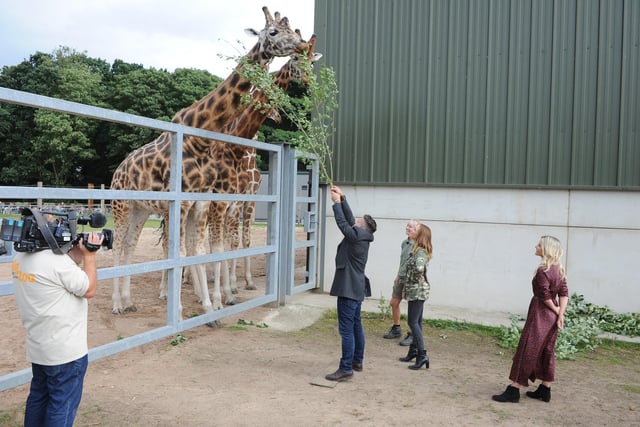 Yorkshire Wildlife Park's website reveals a 15 per cent Black Friday discount on season tickets, special animal experiences, animal adoptions and gift boxes