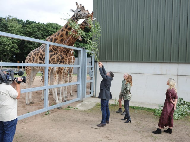 Yorkshire Wildlife Park's website reveals a 15 per cent Black Friday discount on season tickets, special animal experiences, animal adoptions and gift boxes