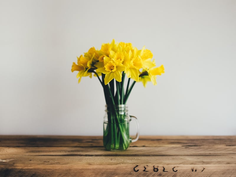 This flower blooms early and symbolises new beginnings so complements Aries as the first sign of the zodiac. They also symbolise faithfulness due to their ability to bloom year after year, making them ideal for a loyal friend.