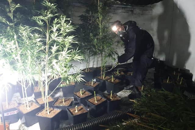 A £1.2 million cannabis factory was found in Darnall, Sheffield, yesterday