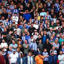 Sheffield Wednesday supporters are hoping for a promotion charge.