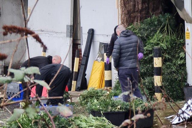 Several hundred suspected cannabis plants were discovered when police raided an industrial unit on Meltham Lane, Stonegravels.