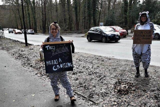 Campaigners dressed as zebras and held placards that said “this zebra needs a crossing” on Abbey Lane in Ecclesall in March.