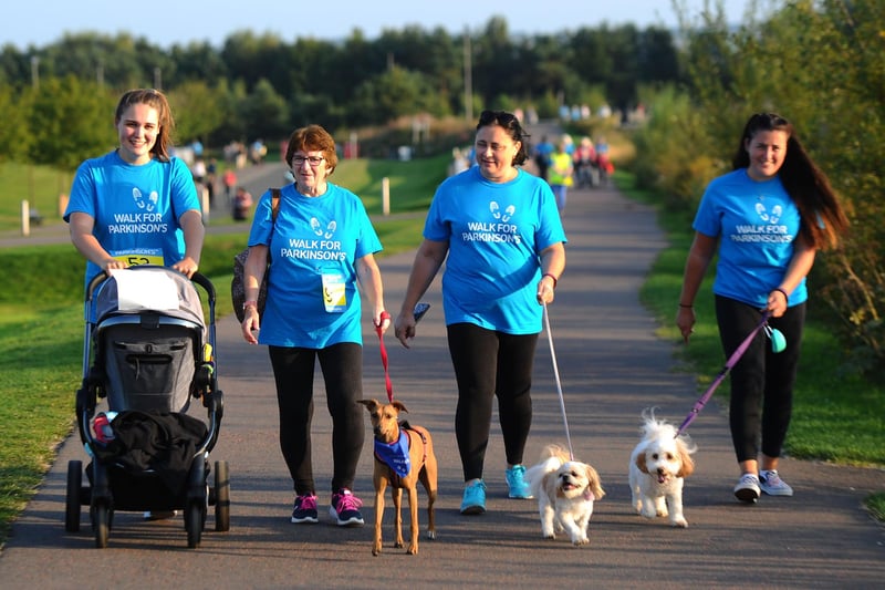It wasn't just the humans getting in on the act...these pooches enjoyed their walk too.