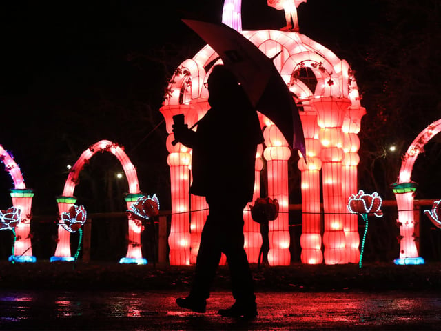 A spectacular light and lantern festival created some dazzling Christmas magic as the award-winning Yorkshire Wildlife Park unveiled the Winter Illuminations trail today. Picture: Chris Etchells