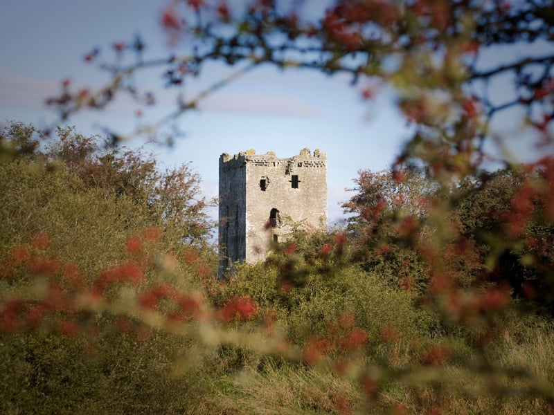 The perfect town from which to explore all the south west of Scotland has to offer, Castle Douglas is a designated Food Town with around 50 businesses serving and selling locally-grown produce, so you wont go hungry. Just outside the town is the beautiful Threave Garden and, on an island in the middle of the River Dee, the spectacular ruins of Threave Castle.