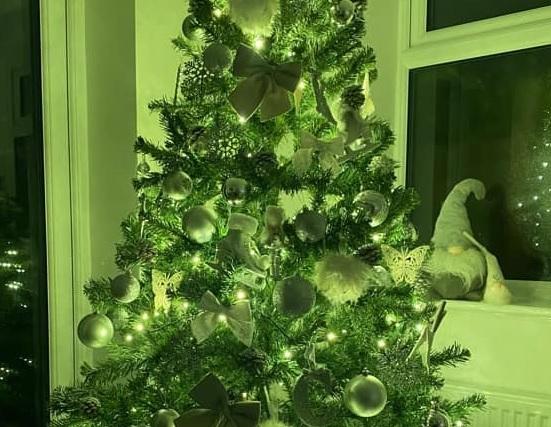 Katie Underwood posted this photo of her Christmas tree.