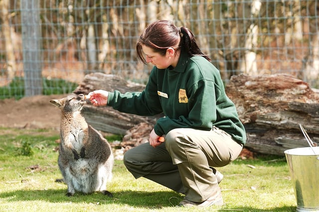 A keeper and a wallaby in 2009