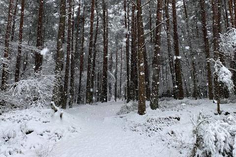 Snowy scenes in Bordon. Picture: Chloe Sibley