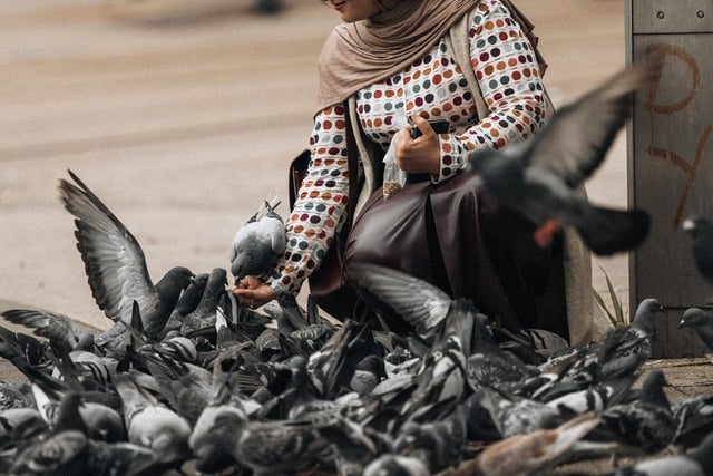 A woman is surrounded by pigeons in Sheffield city centre
