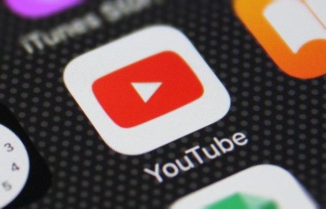 There were relatively few funny cat videos to be had in 1998, largely due to YouTube not having been invented yet. On the plus side, the word vlogging hadn't been coined either, nor was it a viable profession.