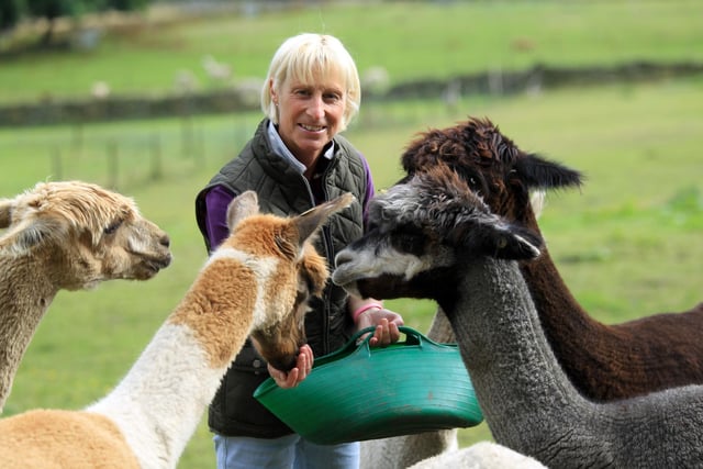 Elaine Sharp runs Mayfield Alpacas - a farm in Fulwood with a large herd of the friendly creatures that people can visit.