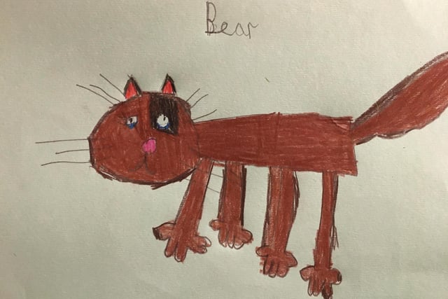 Anya, aged 8, drew her cat Bear.