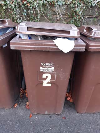 Brown bins are for paper and cardboard only, and blue bins are for glass, cans, tins, and plastic bottles. Other plastics should be taken to recycling sites.