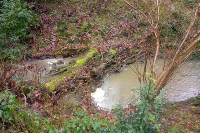 A leaky dam created elsewhere by members of the Steel Valley Project in Stocksbridge, Sheffield