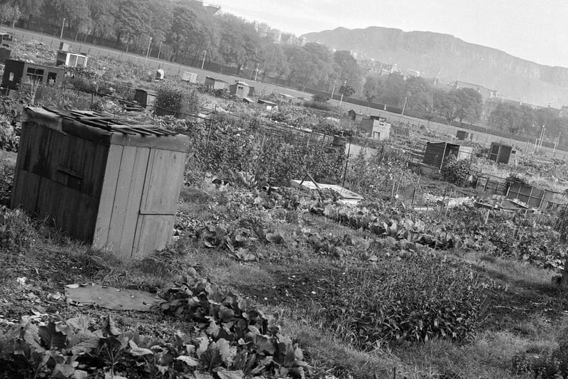 Prior to 1966, much of the East Meadows was given over to allotments where local residents could grow fruit, veg and flowers. This picture, with Arthur's Seat in the background, was taken in October 1960.