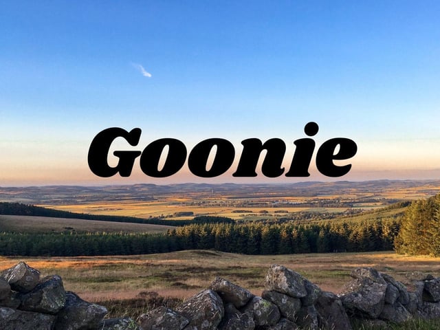 Not related to the film The Goonies.