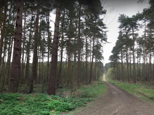 Blidworth Bottoms is another popular walking area that people can look forward exploring responsibly during this second lockdown.