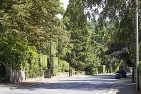 Dore Road is Sheffield's most expensive place to buy a house. Picture Scott Merrylees