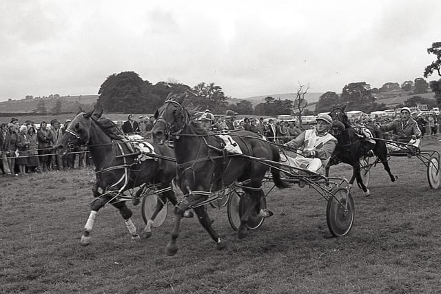 The finishing straight of the 1980 Longnor Races