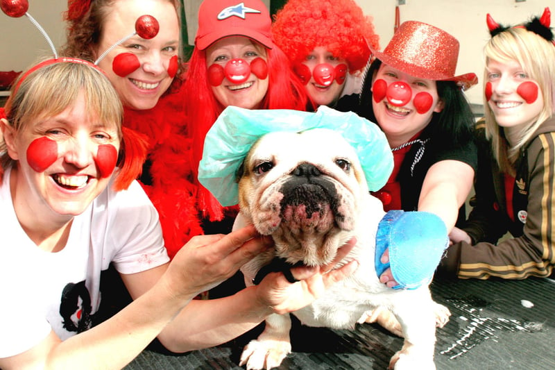 'Dogs Body' Day long dog bath for comic relief. l-r: Jane Waller, Julie Allsopp, Angie Wragg, Tracy McDougall, Kirsty Orr, Carly Andrews and Pepper the Bulldog.