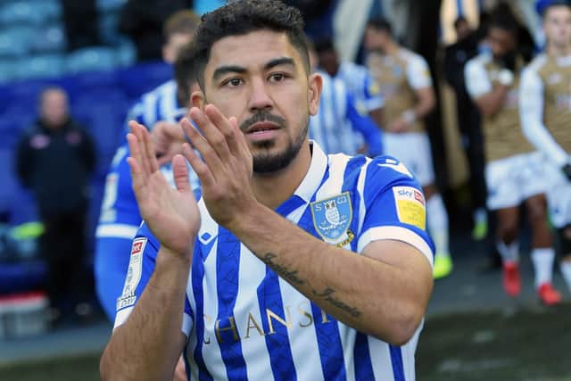 Massimo Luongo's Sheffield Wednesday future is up in the air.