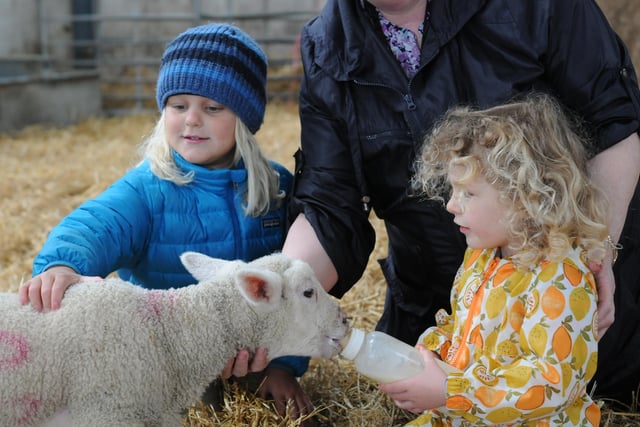 Whitehouse Farm Centre, near Morpeth, reopens on July 11. Tickets have to be pre-booked and visitor numbers are being restricted to help ensure a a socially distanced day out.
Visit www.whitehousefarmcentre.co.uk