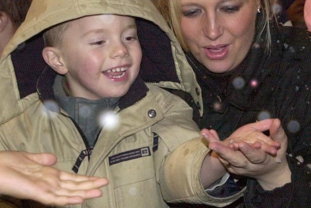 Tracy Barrett and 3 year old son Luke Barrett from Halfway marveled at the fake snow in 2001.