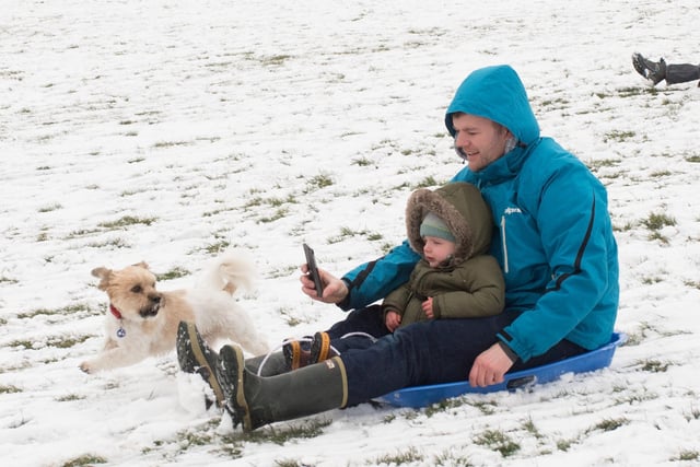 Paul and George Higgs on the sled accompanied by their dog in March 2018. Picture: Keith Woodland