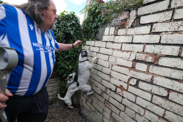 Shaun and his two Jack Russells kill ‘four or five’ rats a week in his tiny back garden, he says.
