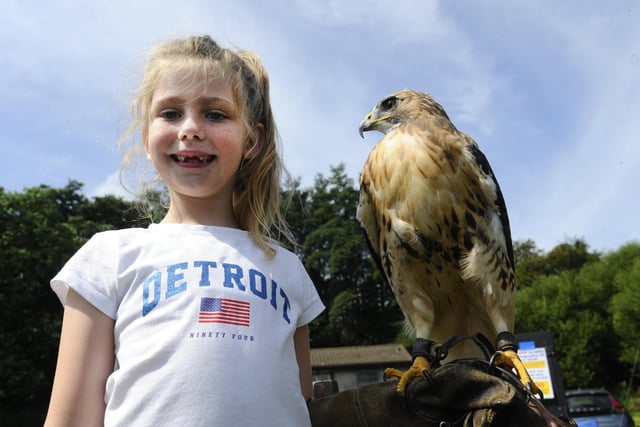 Evie-Rose Sharp (7) and Red-Tailed Buzzard